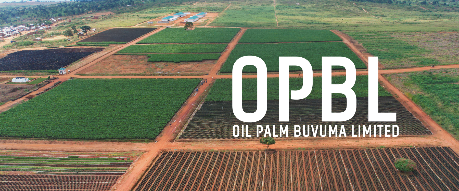 Oil Palm Buvuma Limited